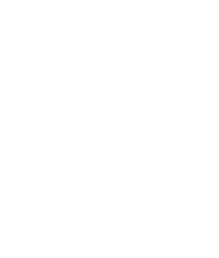System of a Down